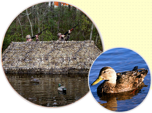 Easy-Up Duck Boat Blinds