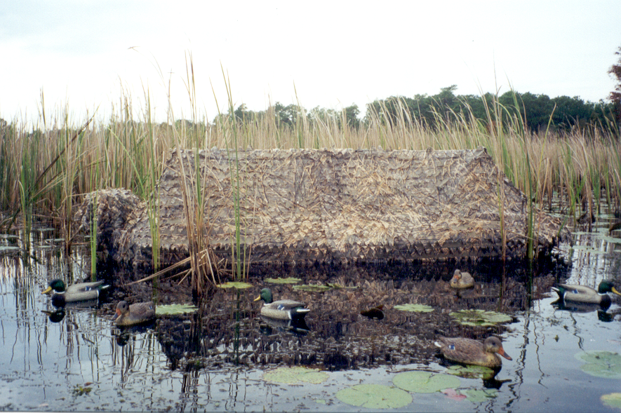 Easy-Up Duck Boat Blind with dog